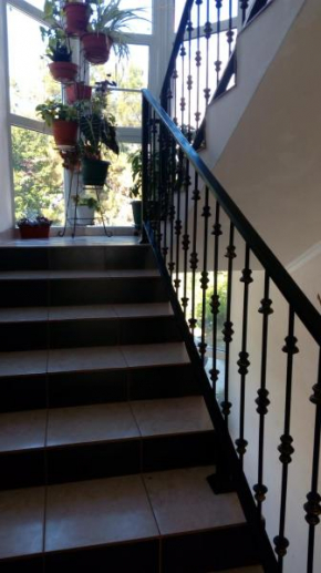 Guest House Aksiniya